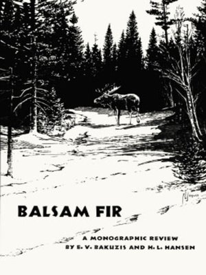 cover image of Balsam Fir